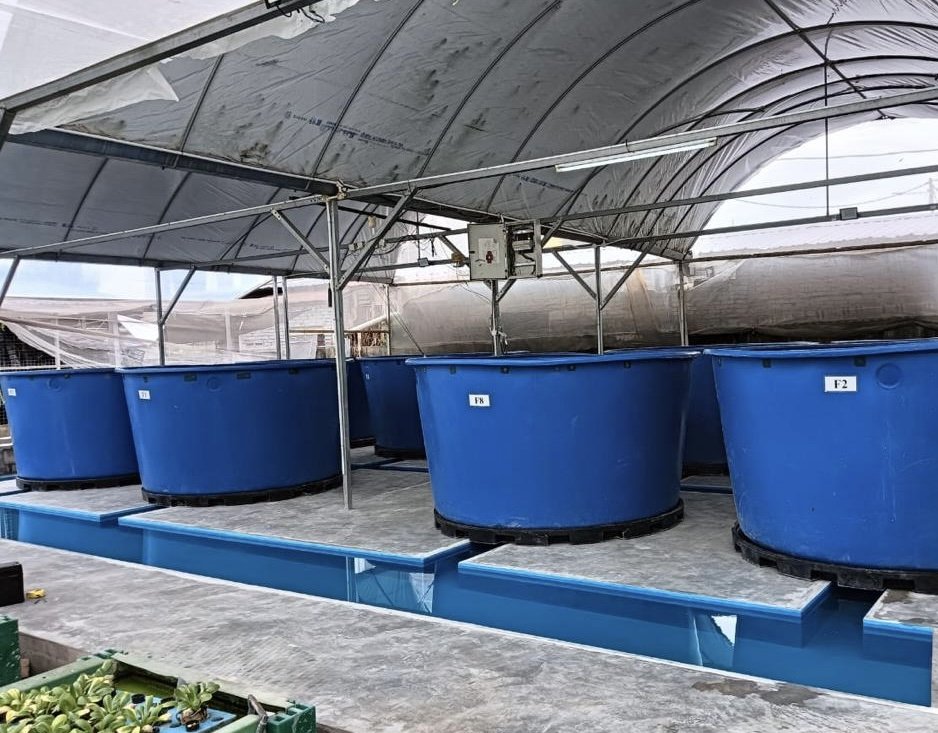 Fish tanks at the Aquaville farm, Gombak Setia