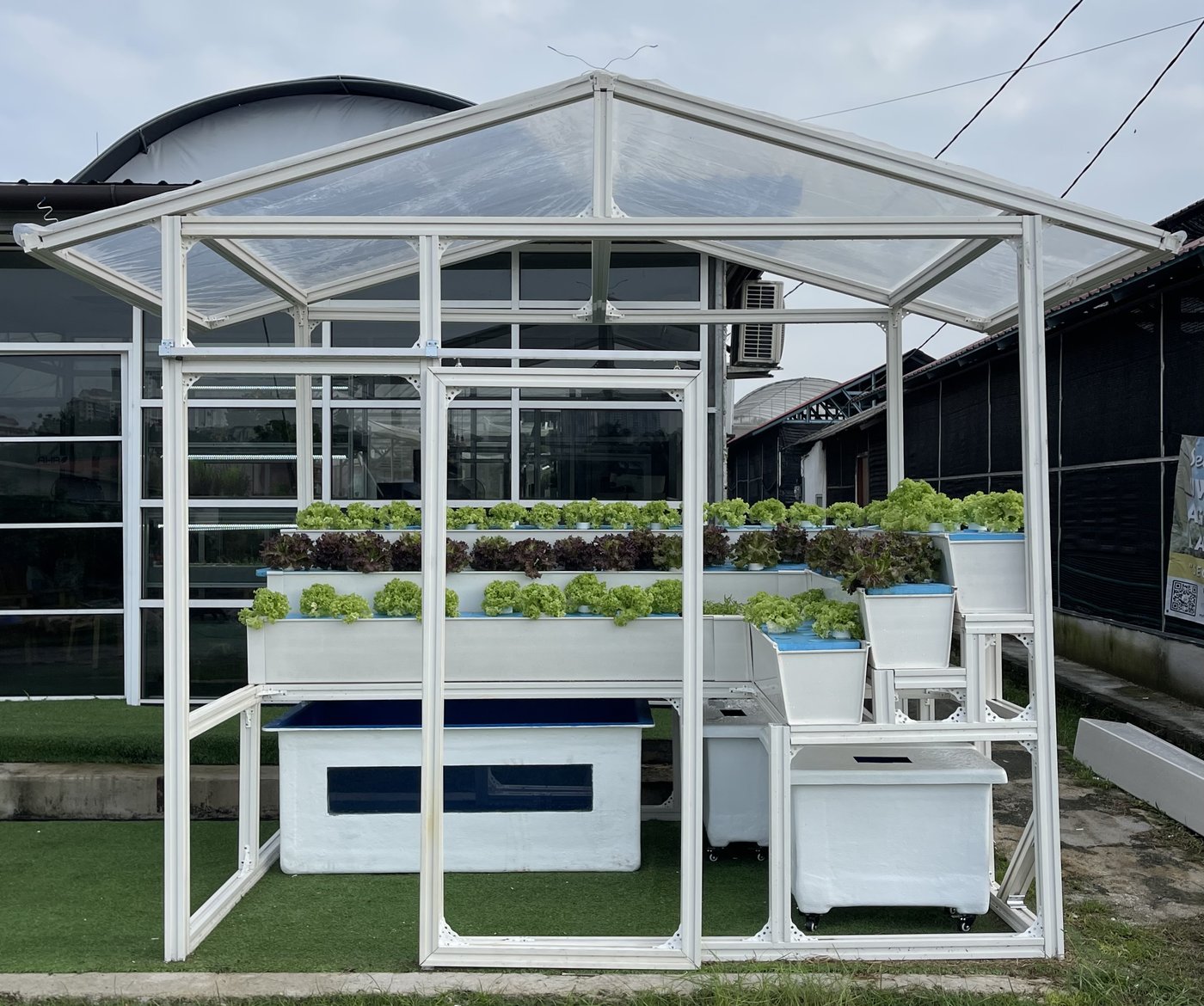 A complete home aquaponics module built by Aquaville, with fish tank and lettuce grow beds under a rain-cover frame