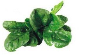 Brazilian Spinach, fresh from Aquaville