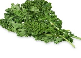 Curly Kale, fresh from Aquaville