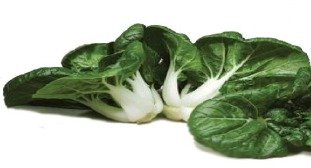 Nai Pak, fresh from Aquaville